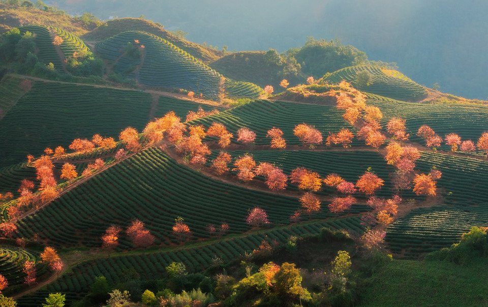 DOICHEOLONG SAPA 1